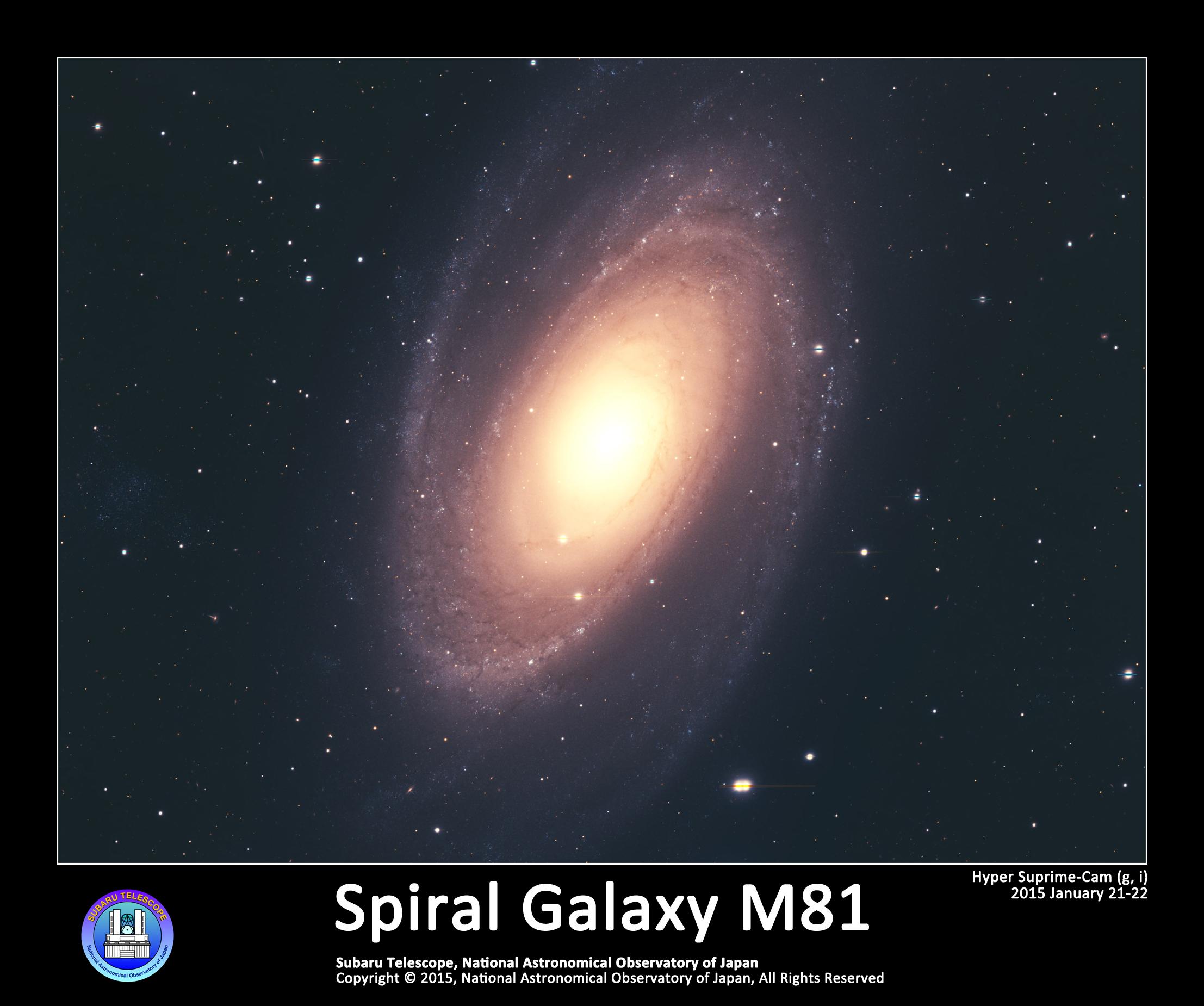 渦巻銀河 M81 | すばるギャラリー | すばる望遠鏡